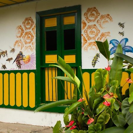 The Plantation House Travellers Hostel Саленто Экстерьер фото