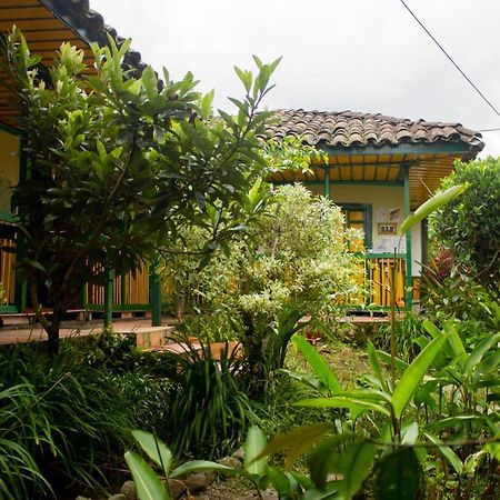 The Plantation House Travellers Hostel Саленто Экстерьер фото