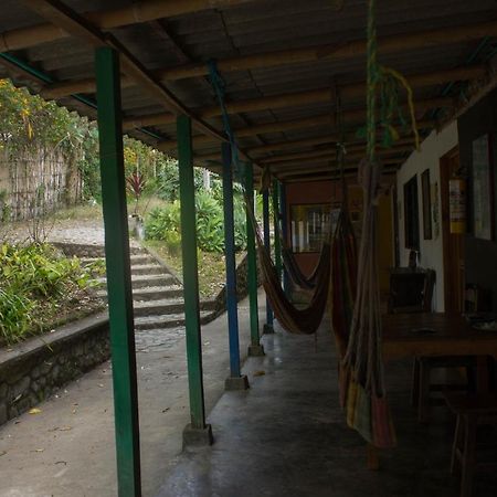 The Plantation House Travellers Hostel Саленто Экстерьер фото