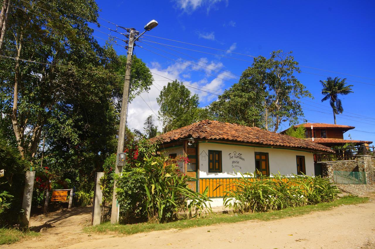 The Plantation House Travellers Hostel Саленто Экстерьер фото