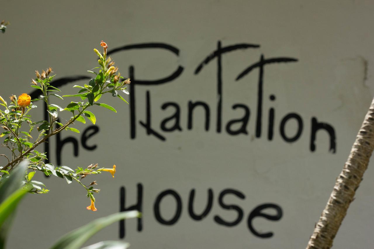 The Plantation House Travellers Hostel Саленто Экстерьер фото
