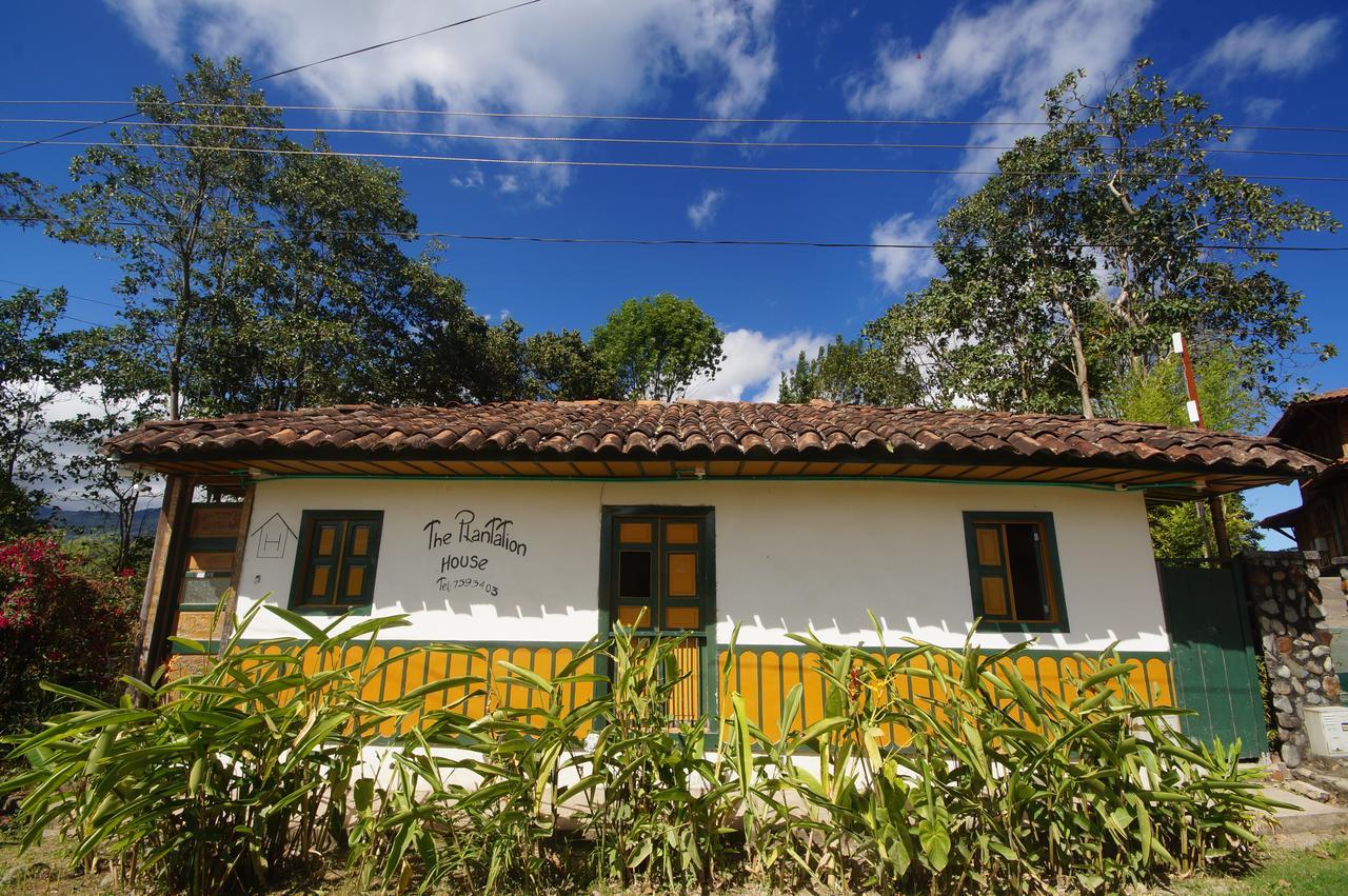 The Plantation House Travellers Hostel Саленто Экстерьер фото